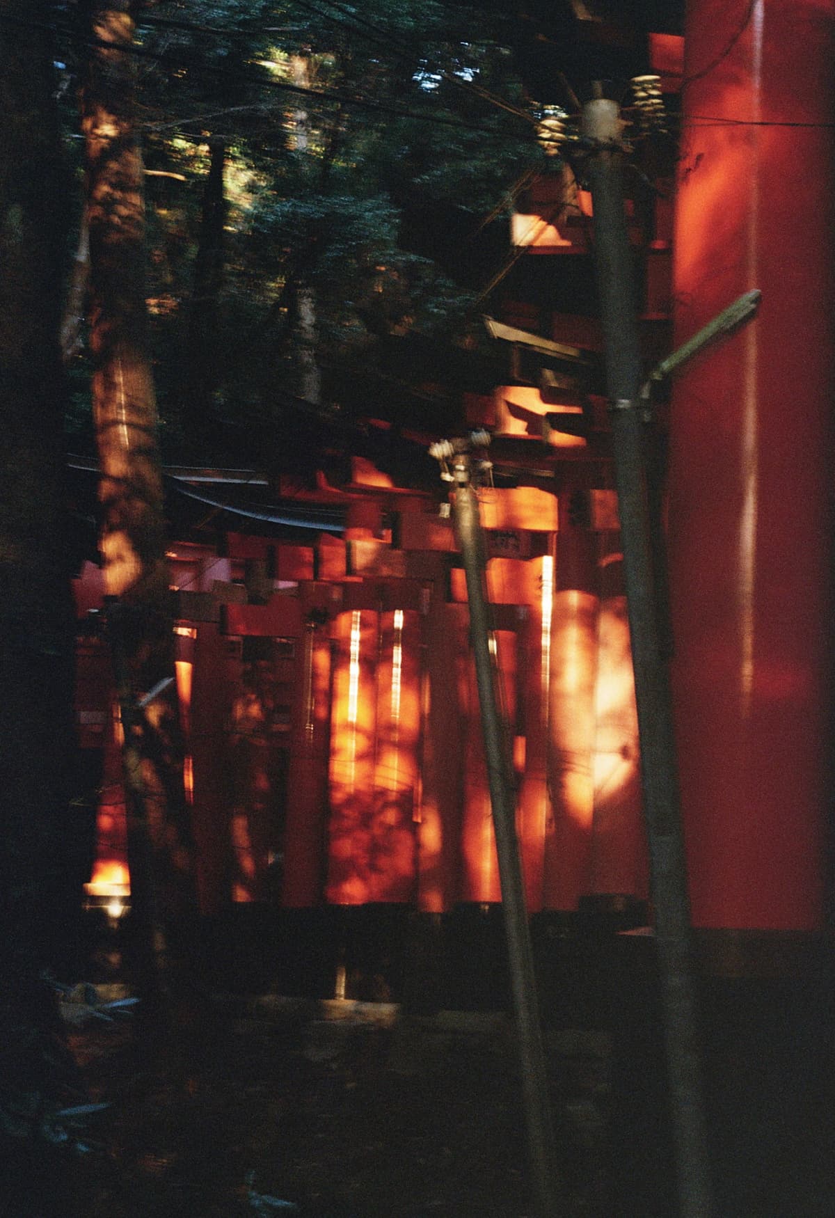 Fushimi Inari // 2024